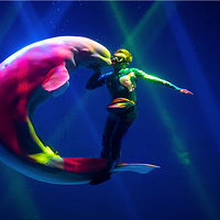 芜湖新华联大白鲸海洋公园