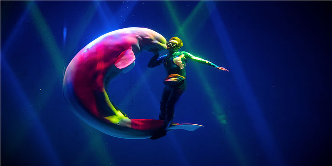 芜湖新华联大白鲸海洋公园