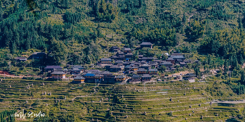 龙脊梯田风景名胜区-金坑梯田第 27 张图片