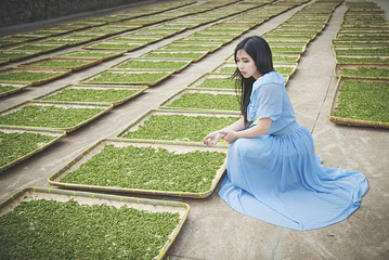 阳羡茶文化博物馆-主楼第 1 张图片