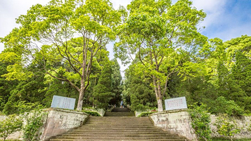 川陕苏区王坪旅游景区