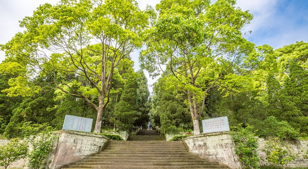 川陕苏区王坪旅游景区