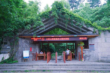 大奇山国家森林公园第 6 张图片