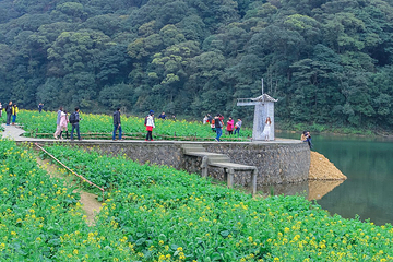 石门国家森林公园第 24 张图片