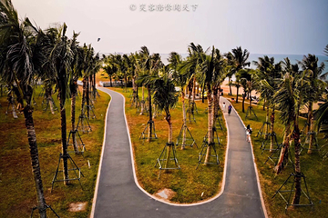 假日海滩第 5 张图片