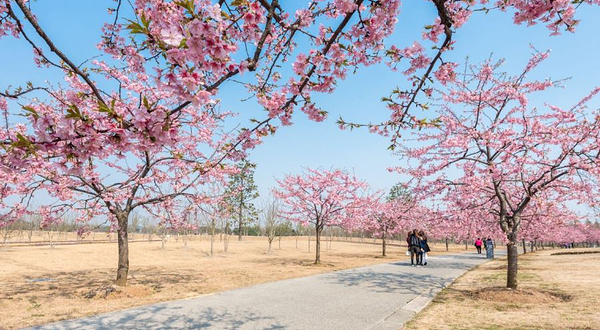 上海辰山植物园