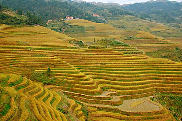 龙脊梯田风景名胜区-金坑梯田第 19 张图片
