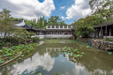 醉白池第 4 张图片