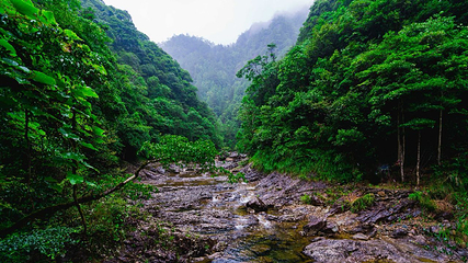 文成铜铃山森林公园景区第 2 张图片