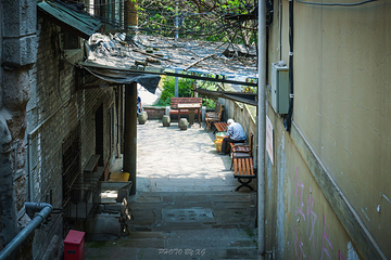 山城步道第 50 张图片