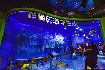 武汉科学技术馆第 6 张图片
