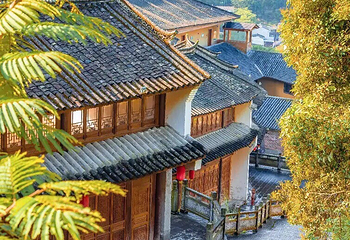 荷花温泉第 23 张图片