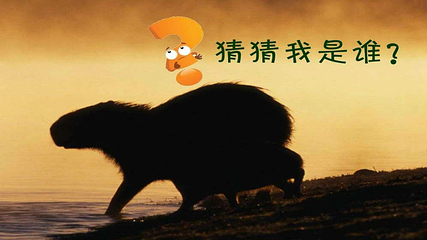长沙生态动物园第 29 张图片