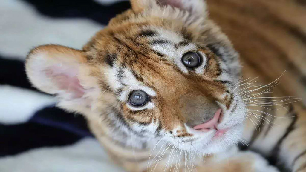 长沙生态动物园