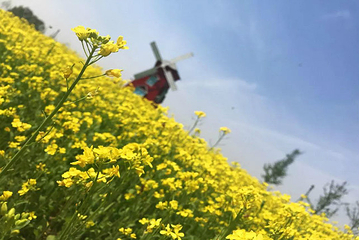 神农现代农业示范园第 16 张图片