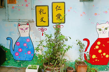 顶澳仔猫街第 31 张图片