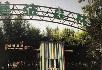 哈顿星球第 1 张图片