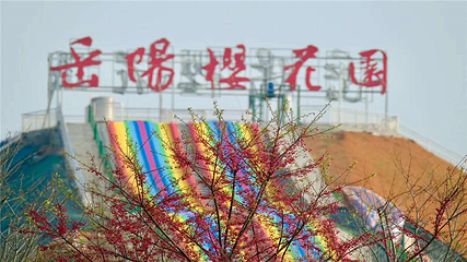 岳阳樱花园第 51 张图片