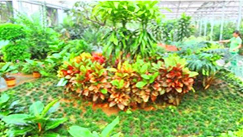 杨凌现代农业示范园区创新园