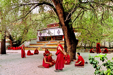 色拉寺第 41 张图片
