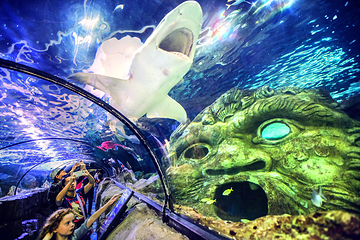 悉尼水族馆第 23 张图片