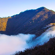 梅树底风景区