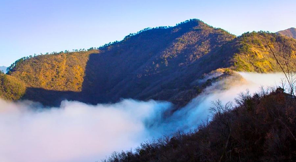 梅树底风景区