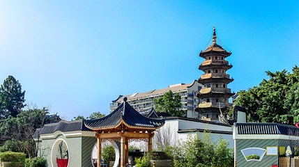 崇妙保圣坚牢塔第 1 张图片
