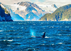 基奈峡湾国家公园