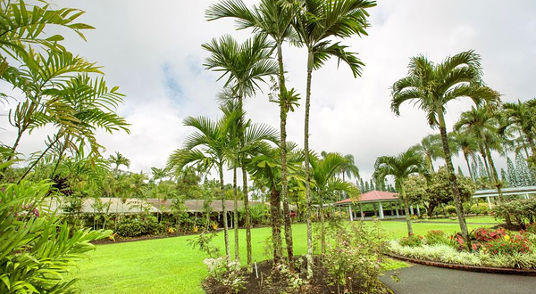 夏威夷热带植物园