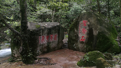 庐山西海将军峡风景区第 7 张图片