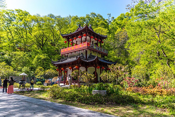 琅琊山景区第 49 张图片