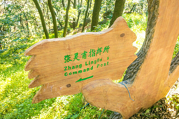 蒙阴县孟良崮战役遗址第 24 张图片