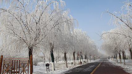 南湖冰雪世界第 6 张图片