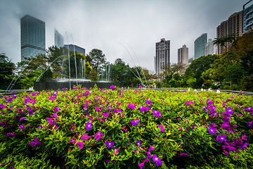 香港动植物公园第 1 张图片