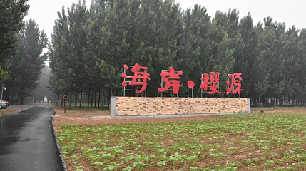 海岸樱源第 1 张图片
