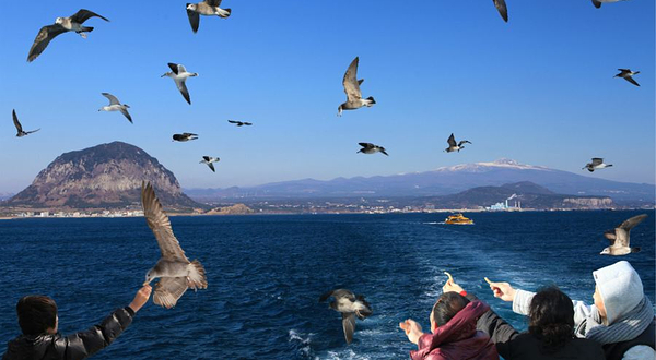 山房山爱的游轮体验