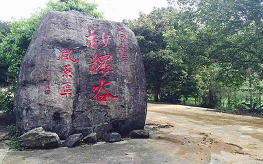 龙岩东肖森林公园第 12 张图片