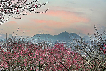 台州府城文化旅游区第 26 张图片
