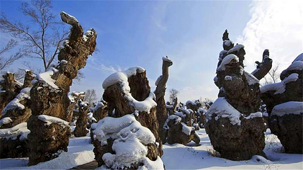 新疆古生态园汗血马基地第 52 张图片