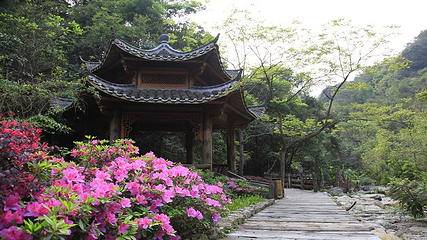 雁南飞茶田景区-桥溪古韵第 13 张图片