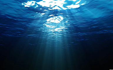 海之语海洋世界第 49 张图片