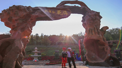 孔雀谷第 44 张图片