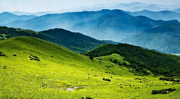 辽河源国家森林公园