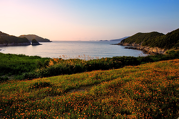 东海半边山旅游度假区第 6 张图片
