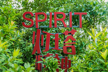 花鸟岛第 37 张图片