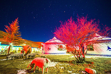 乌鞘岭国际滑雪场第 8 张图片