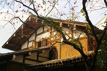 苍坡古村第 52 张图片