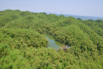沐川竹海旅游景区第 14 张图片