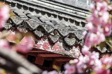 琅琊寺第 16 张图片
